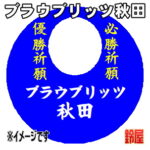 ブラウブリッツ秋田グッズ